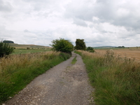 Roundway Down image 5