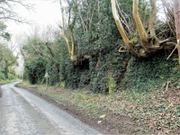 Ledbury to Colwall Stone image 3