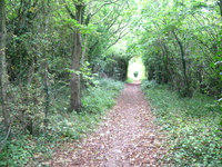 Campden Lane image 2