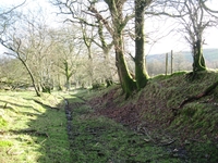 Rhydcymerau-Llansawel image 5