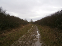 Aldwincle Lane image 2