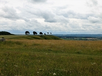 Roundway Down image 3