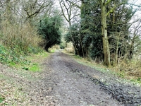 Ledbury to Colwall Stone image 1