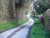 Long Lane to Craven A. image 2