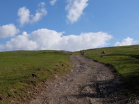 The Long Mynd (south) image 2