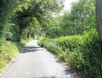 Scot Gate Lane image 4